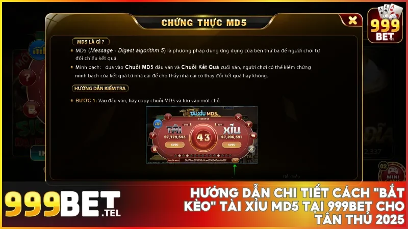 Chơi Tài xỉu MD5 tại 999bet dễ dàng với quy trình đặt cược đơn giản rõ ràng và nhanh chóng