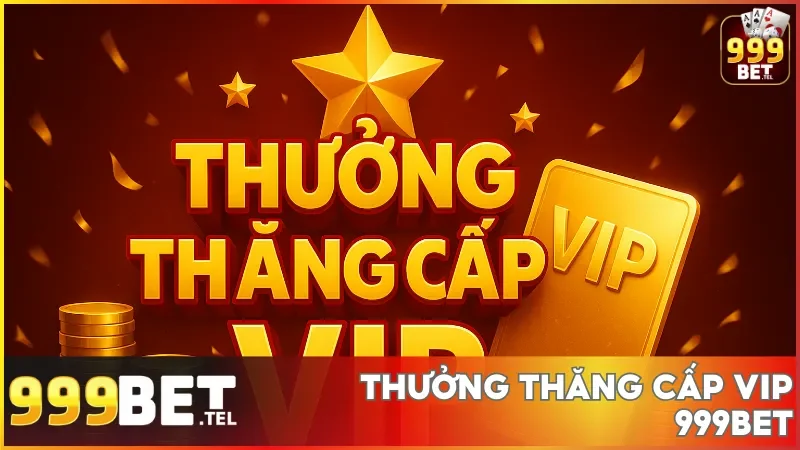 Hoàn thiện hành trình thăng cấp và khám phá đặc quyền VIP